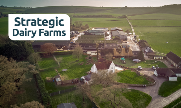 Whitewool SDF farm photo - birdseye view SDF writing